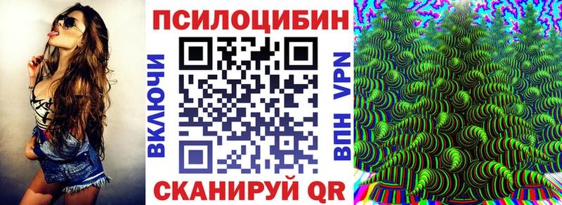 где купить наркоту  Усть-Джегута  Галлюциногенные грибы Psilocybe 