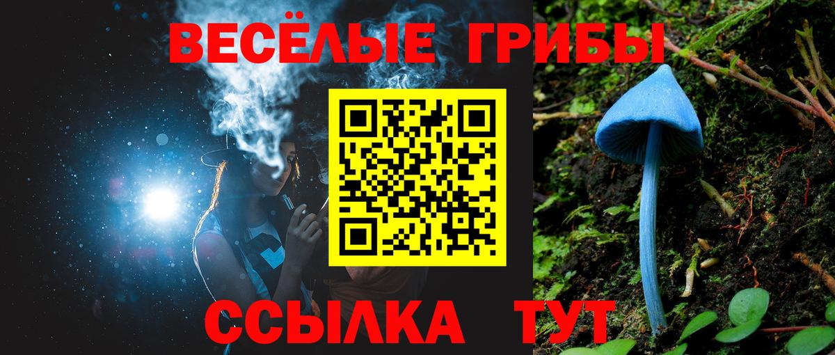 Псилоцибиновые грибы мицелий  Вход с VPN  Усть-Джегута 